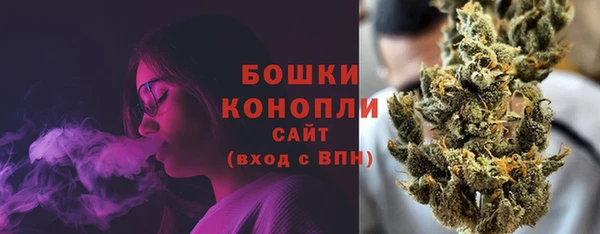 сатива Зерноград