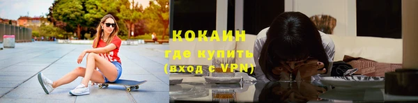 сатива Зерноград