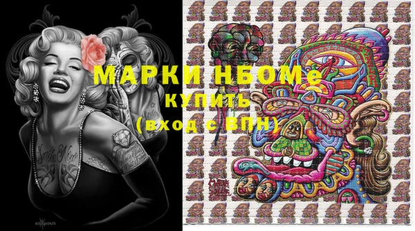 сатива Зерноград