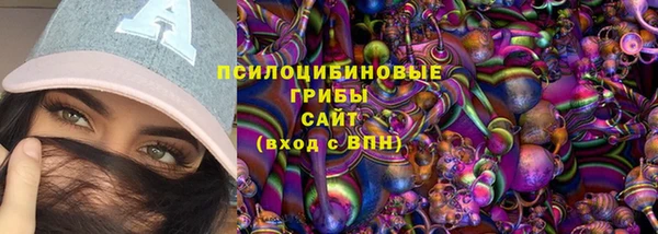сатива Зерноград