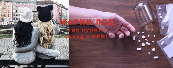 сатива Зерноград