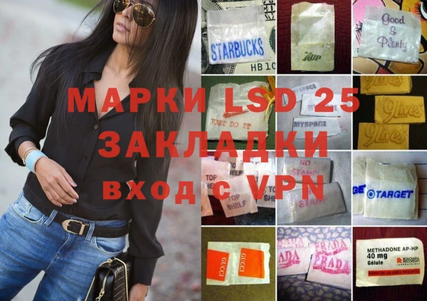 сатива Зерноград