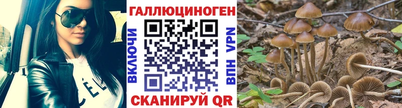 Купить закладки  Чегем  Галлюциногенные грибы мухоморы 